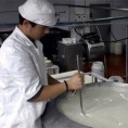 Откуп млека по увозној цени?