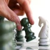 Живот је као партија шаха