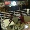 И Роки би им позавидео