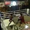 И Роки би им позавидео