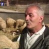 Грађанин