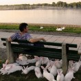 Тријумф „Ђавоље вароши“ у Швајцарској