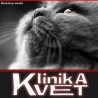 Клиника вет