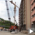 Селективна легализација