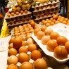 Затворено 5.000 фарми у Немачкој