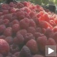 Европски уместо банкарских кредита