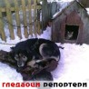 Гледаоци репортери (18.1.2011)