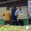 Задруга побољшава пословање