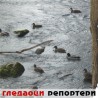 Гледаоци репортери (2.3.2011)