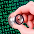 Мутације 13 гена узрокују болести артерија
