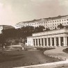 Код два бела голуба