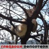 Гледаоци репортери (19.3.2011)