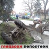 Гледаоци репортери (22.3.2011)