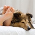 „Чупава“ дилема - спавати са љубимцем или не?