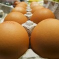 Поскупела и јаја
