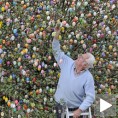 За „ускршње дрво“ 9.800 јаја!