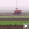 Зарада од голице