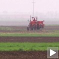 Зарада од голице