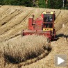 Субвенције 14.000 динара по хектару
