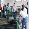 Бољи дани за сточарство