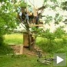 Из виртуелне реалности право на дрво