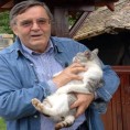 ТВ лица: Радослав Зеленовић