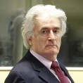Караџић оспорио налазе вештака