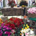 У Липолисту цветају руже