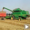 Скупљи дизел, скупља пшеница