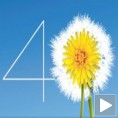 СОФЕСТ, 40. пут