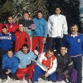 Тешка саобраћајка рвача