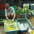 Субвенције за органску храну