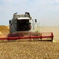 Откуп пшенице за Робне резерве