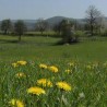 Еко караван - Жеђ, емисија из екологије 