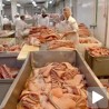 Русија, извозна шанса