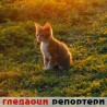 Гледаоци репортери (6. септембар 2011)