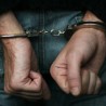 Ухапшен нападач на џамију у Борчи