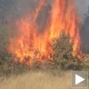 Пожар код Бора