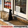 Гледаоци репортери (13. септембар 2011)