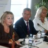 Ревизија страначких финансија од 2013.
