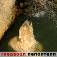 Гледаоци репортери (15. септембар 2011)