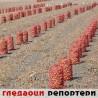 Гледаоци репортери (21. септембар 2011)