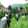 Енциклопедија за радознале