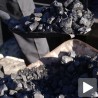 Поскупела "Колубара"