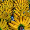 Разбијен банана-картел