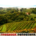 Гледаоци репортери (14. октобар 2011)