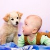 Поштована децо