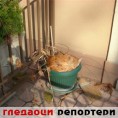 Гледаоци репортери (3. новембар 2011.)