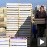 Српске јабуке на руском тржишту