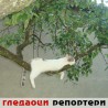 Гледаоци репортери (13. новембар 2011.)